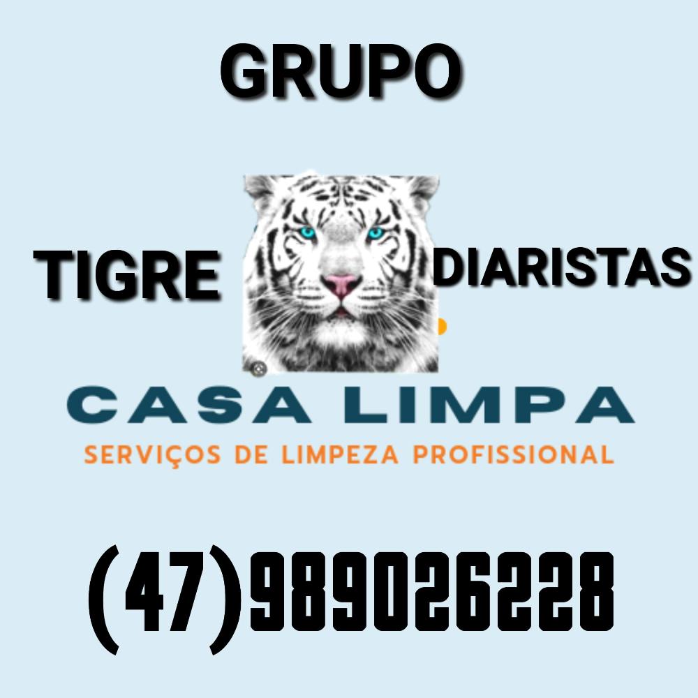 GRUPO TIGRE DIARISTAS 